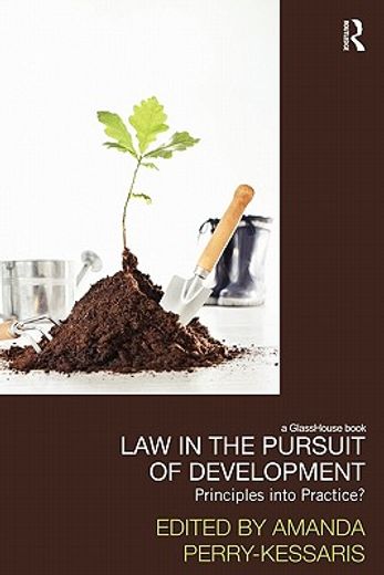law in the pursuit of development,principles into practice?