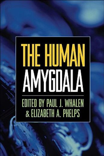 The Human Amygdala