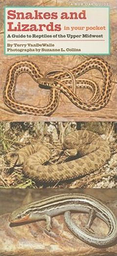 snakes and lizards in your pocket,a guide to reptiles of the upper midwest