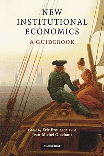 new institutional economics,a guid