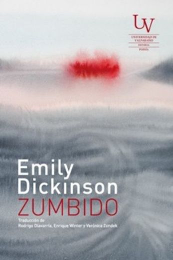 Zumbido (in Spanish)