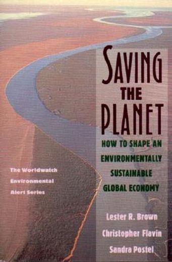 saving the planet,how to shape an environmentally substainable global economy