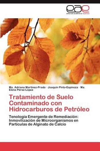 tratamiento de suelo contaminado con hidrocarburos de petr leo (in Spanish)