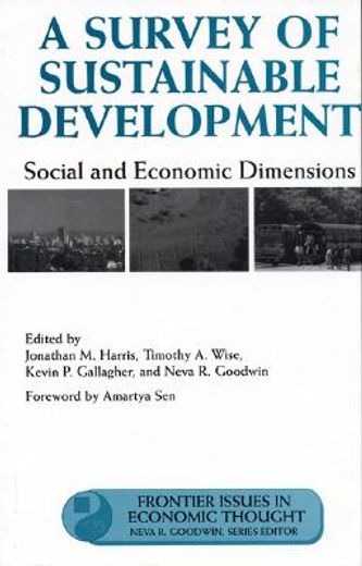 A Survey of Sustainable Development: Social and Economic Dimensions Volume 6 (en Inglés)