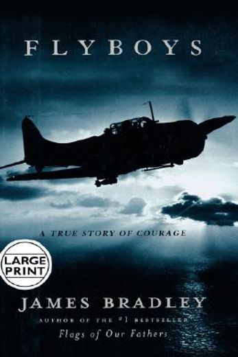 flyboys,a true story of courage (in English)