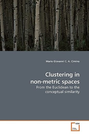 clustering in non-metric spaces,from the euclidean to the conceptual similarity