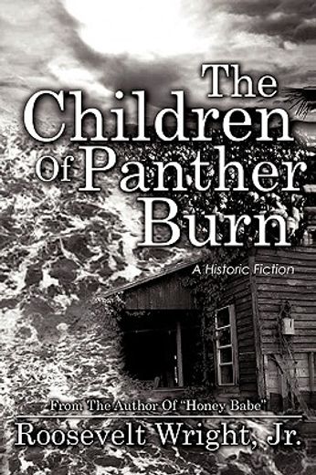 the children of panther burn,a historic fiction (en Inglés)