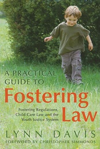 a practical guide to fostering law,fostering regulations, child care law and the youth justice system