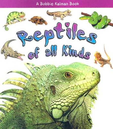 reptiles of all kinds