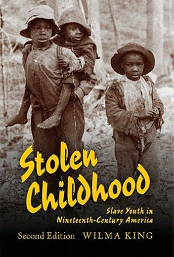 stolen childhood,slave youth in nineteenth-century america