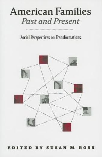 american families past and present,social perspectives on transformations
