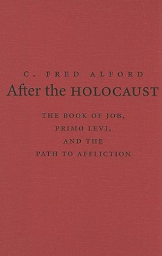 after the holocaust,the book of job, primo levi, and the path to affliction