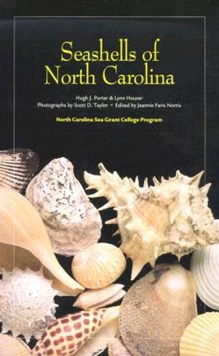 seashells of north carolina