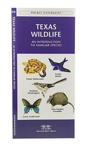 texas wildlife,an introduction to familiar species