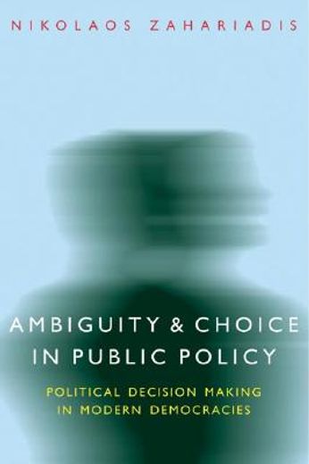 ambiguity and choice in public policy,political decision making in modern democracies