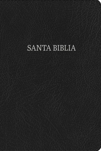 Rvr 1960 Biblia Letra Grande Tamaño Manual, Negro Imitación Piel (in Spanish)