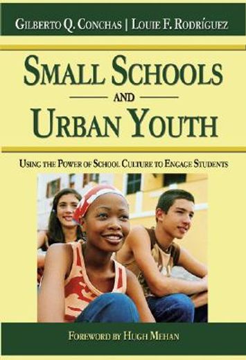 small schools and urban youth,using the power of school culture to engage students