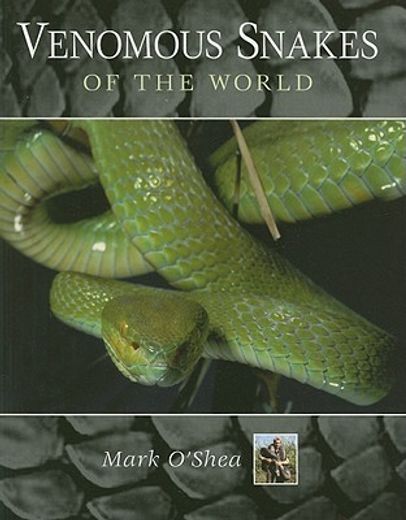 venomous snakes of the world