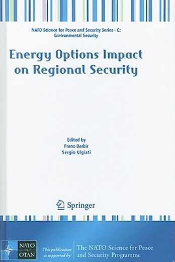 energy options impact on regional security