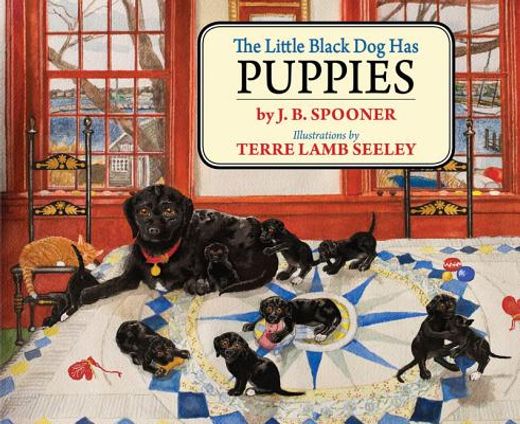 The Little Black Dog Has Puppies