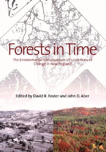 forests in time,the environmental consequences of 1,000 years of change in new england
