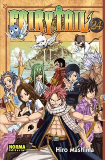 Fairy Tail 24