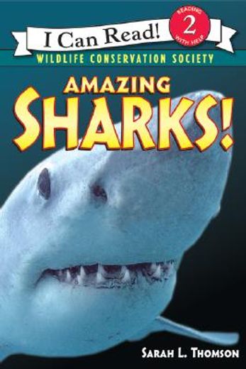 amazing sharks! (en Inglés)