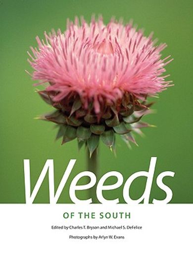 weeds of the south (en Inglés)