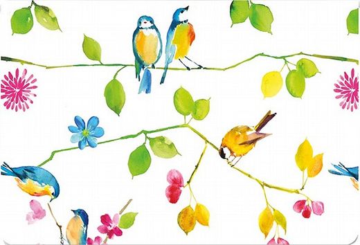 watercolor birds note cards