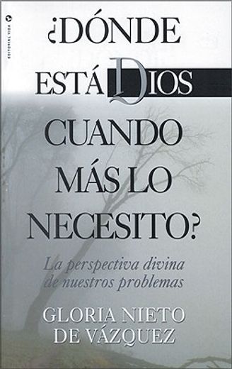 donde esta dios cuando mas lo necesito?: la perspectiva divina de nuestros problemas