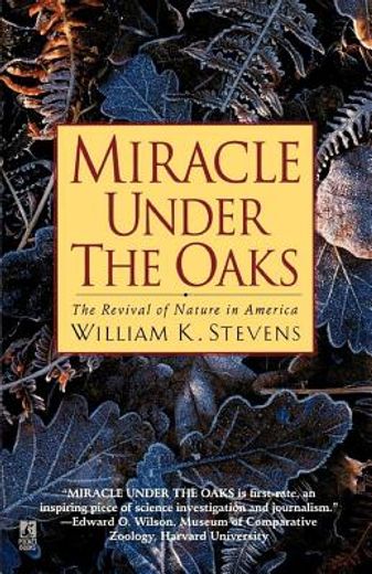 miracle under the oaks (en Inglés)