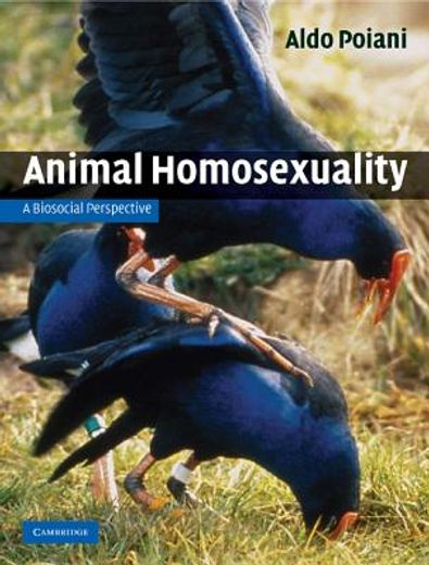 animal homosexuality,a biosocial perspective