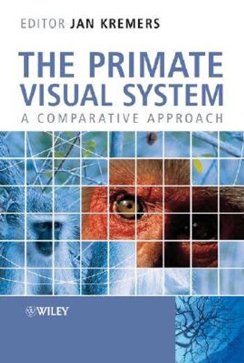 the primate visual system,a comparative approach