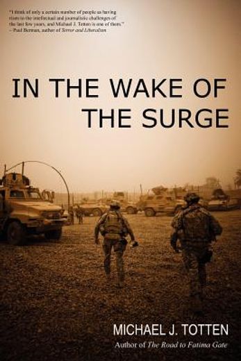 in the wake of the surge