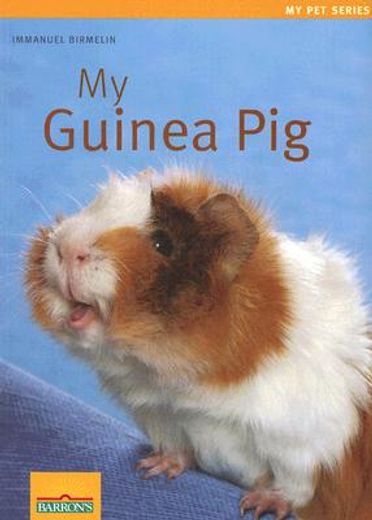 my guinea pig