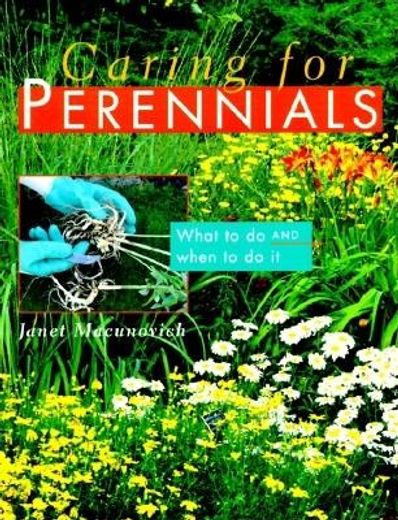 caring for perennials,what to do and when to do it