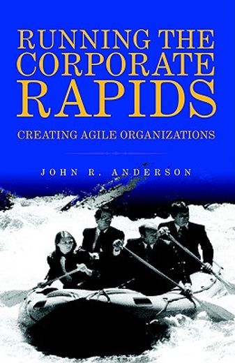 running the corporate rapids,creating agile organizations