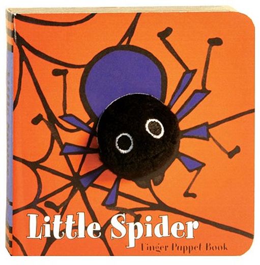 little spider (en Inglés)