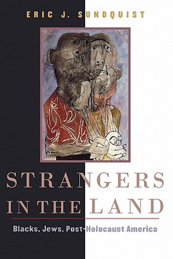strangers in the land,blacks, jews, post-holocaust america (en Inglés)