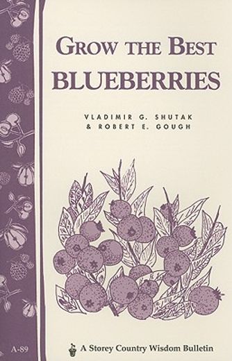 grow the best blueberries