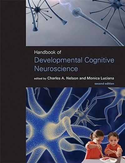 handbook of developmental cognitive neuroscience