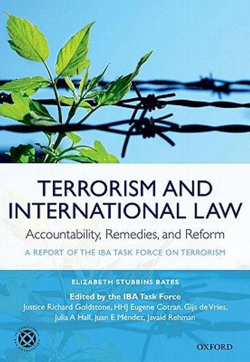 terrorism and international law:  accountability, remedies, and reform,a report of the iba task force on terrorism