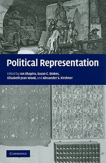 political representation