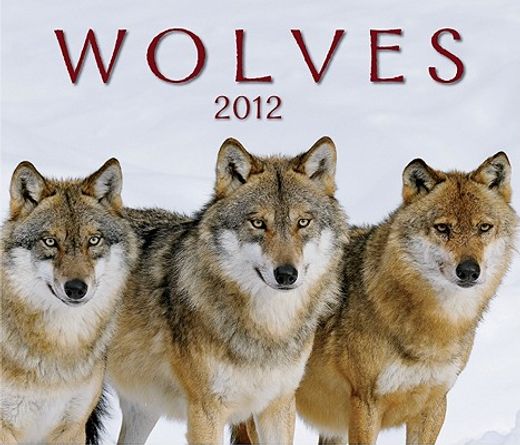 wolves 2012 calendar