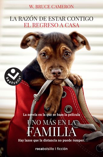 La Razón de Estar Contigo. El Regreso a Casa