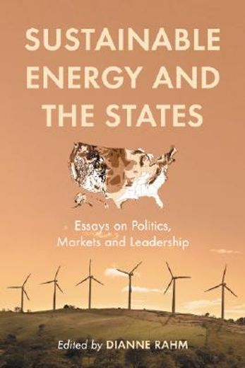 sustainable energy and the states,essays on politics, markets and leadership