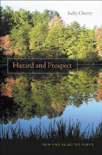 hazard and prospect,new and selected poems