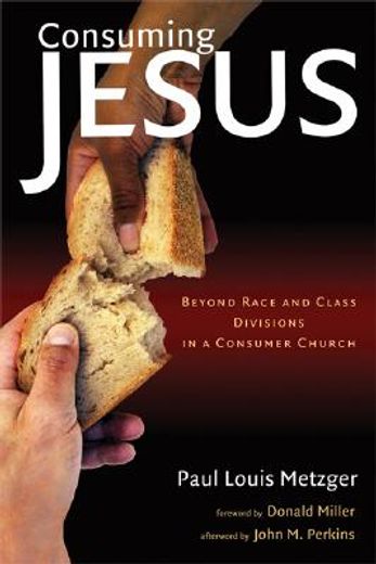 consuming jesus,beyond race and class divisions in a consumer church