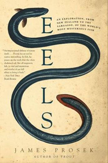 eels,an exploration, from new zealand to the sargasso, of the world`s most mysterious fish (in English)