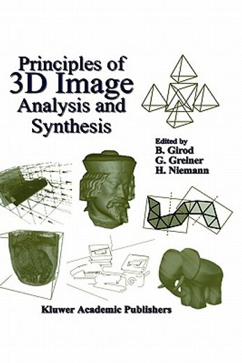 principles of 3d image analysis and synthesis (en Inglés)